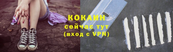 крисы Богородск