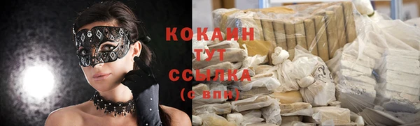 шишки Богданович