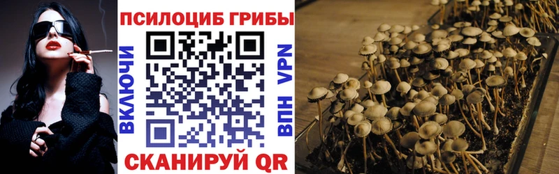 Галлюциногенные грибы GOLDEN TEACHER  Пенза 
